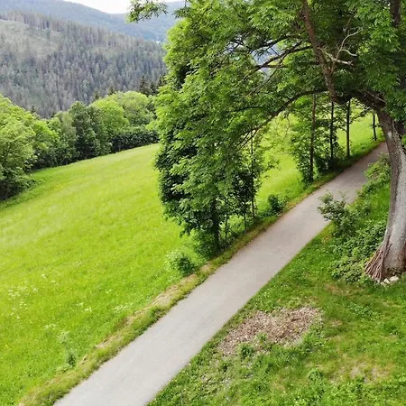 Alpehytte Botas Strážné