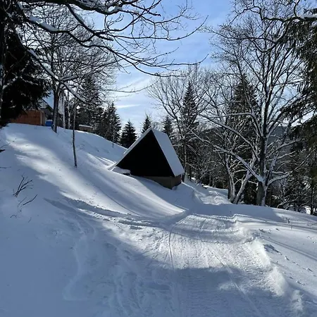 Botas Chalet *