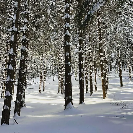 Chalet Botas